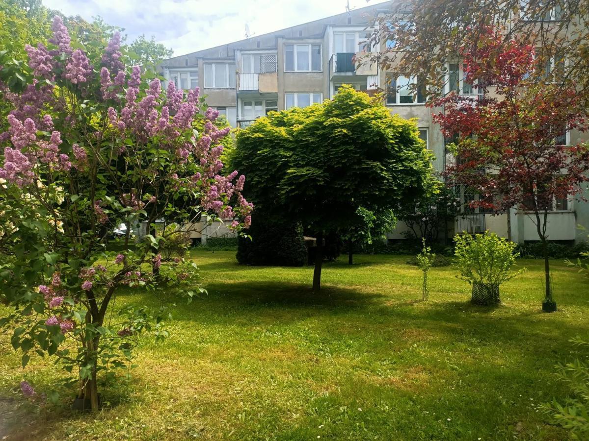 Przytulny Dwuosobowy Apartament Jaworowa Βρότσλαβ Εξωτερικό φωτογραφία